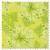 Flora and Fauna - wild carrots lichen (per 1/4 metre)