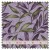 Wild Iris - grasses lavender (per 1/4 metre)