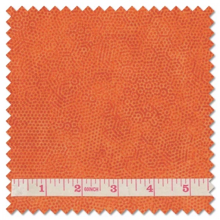 Dimples - O1 carrot (per 1/4 metre)