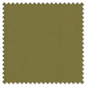 Solids - Avocado (per 1/4 metre)