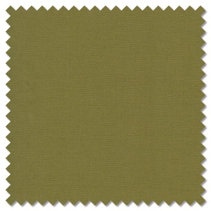 Solids - Avocado (per 1/4 metre)