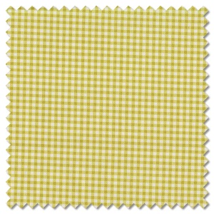 Shine Gingham in Grass Shine Gingham in Grass