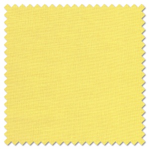 Solids - Maize (per 1/4 metre)